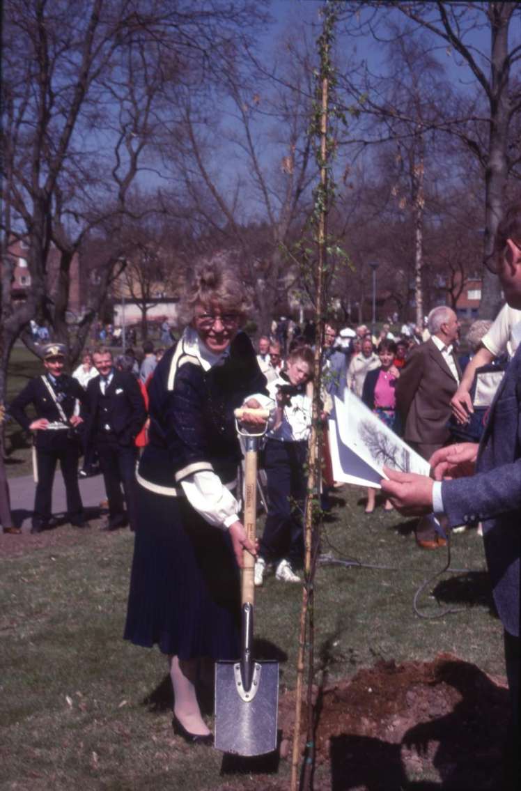 Ljungby 50 År, Britt Mogård, Planterar Träd i Brunnsparken, År 1986. L1.D8.32 (FILEminimizer)